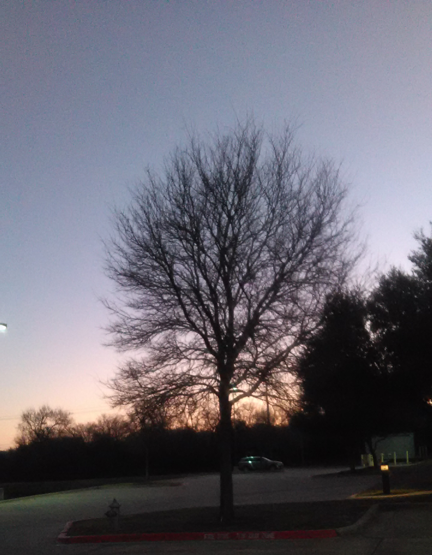 IMG__20160122__050851.jpg