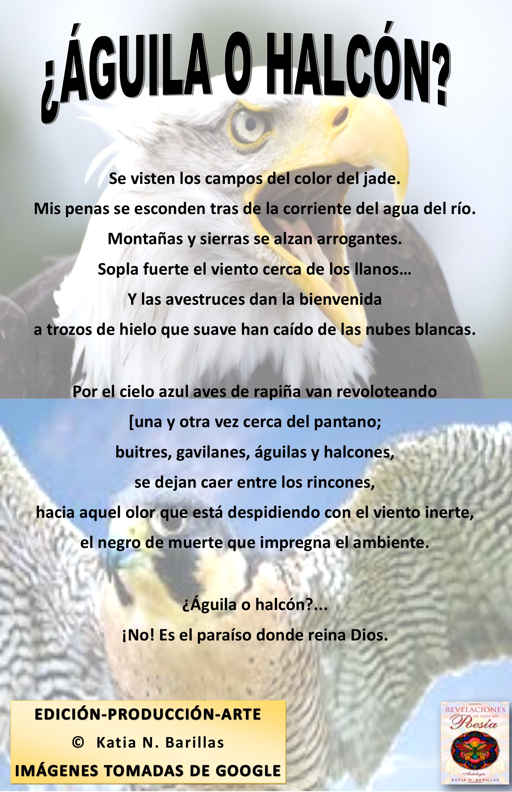 KBpoemaÁGUILAOHALCÓN.jpg