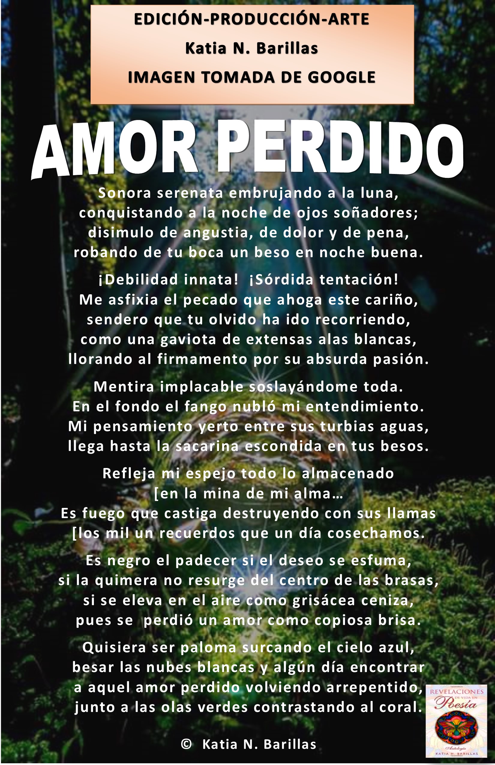 KBpoemaAMOR PERDIDO.jpg