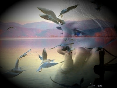 LA NIÑA Y LAS GAVIOTAS.jpg