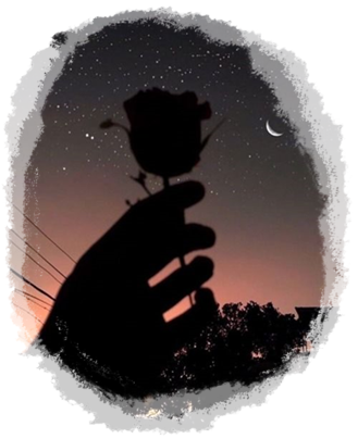 La rosa que sostienes en tus manos.png