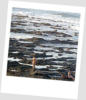 los charcos marinos, llenos de vida,  de Punta del hidalgo.jpg