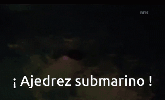 Magnus-Carlsen-Submarino.gif