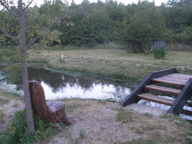 Mallín tranquilo.JPG