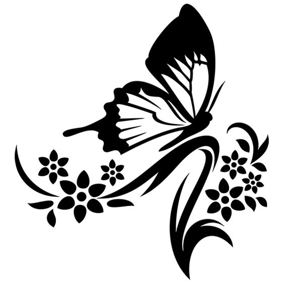 mariposa26.jpg