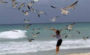 niña sde salitre con alma de gaviota - copia.jpg