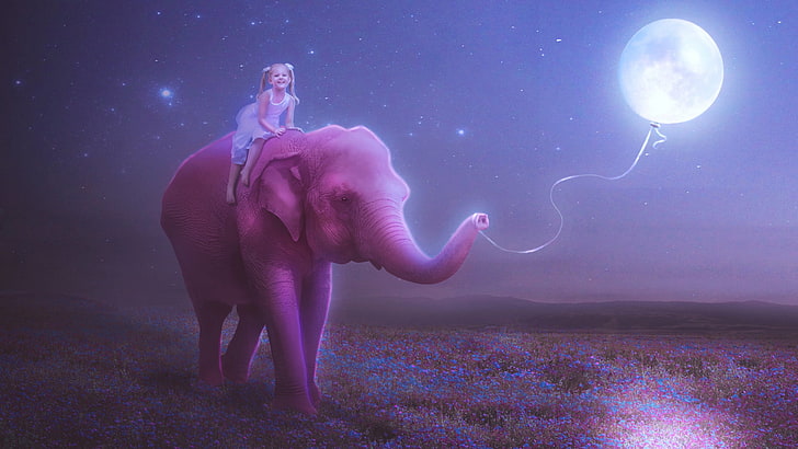 niña sore un elefante rosa.jpg