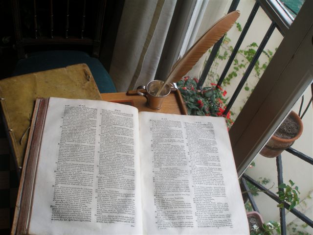 P3090145.JPG