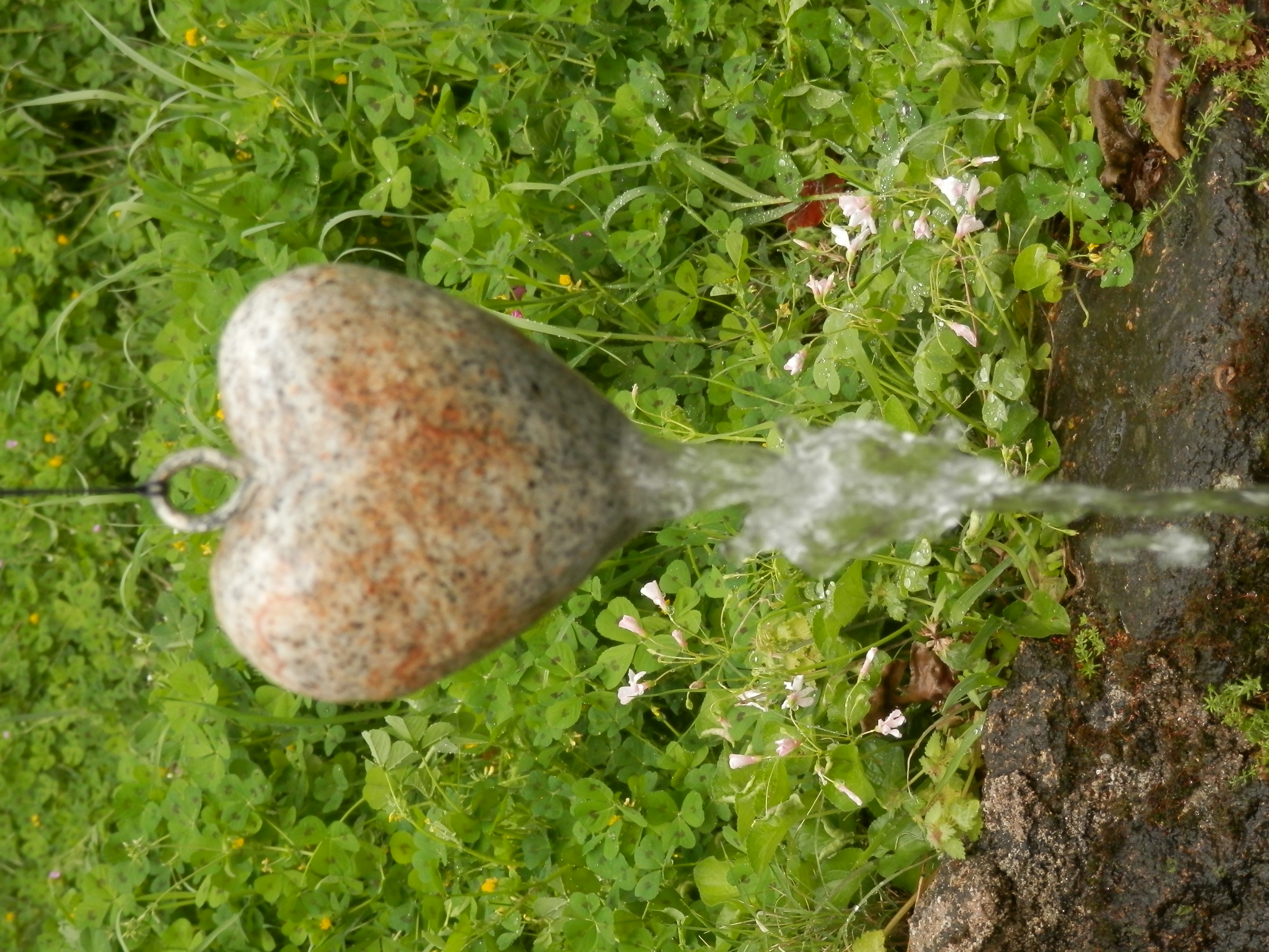 P5020197.JPG