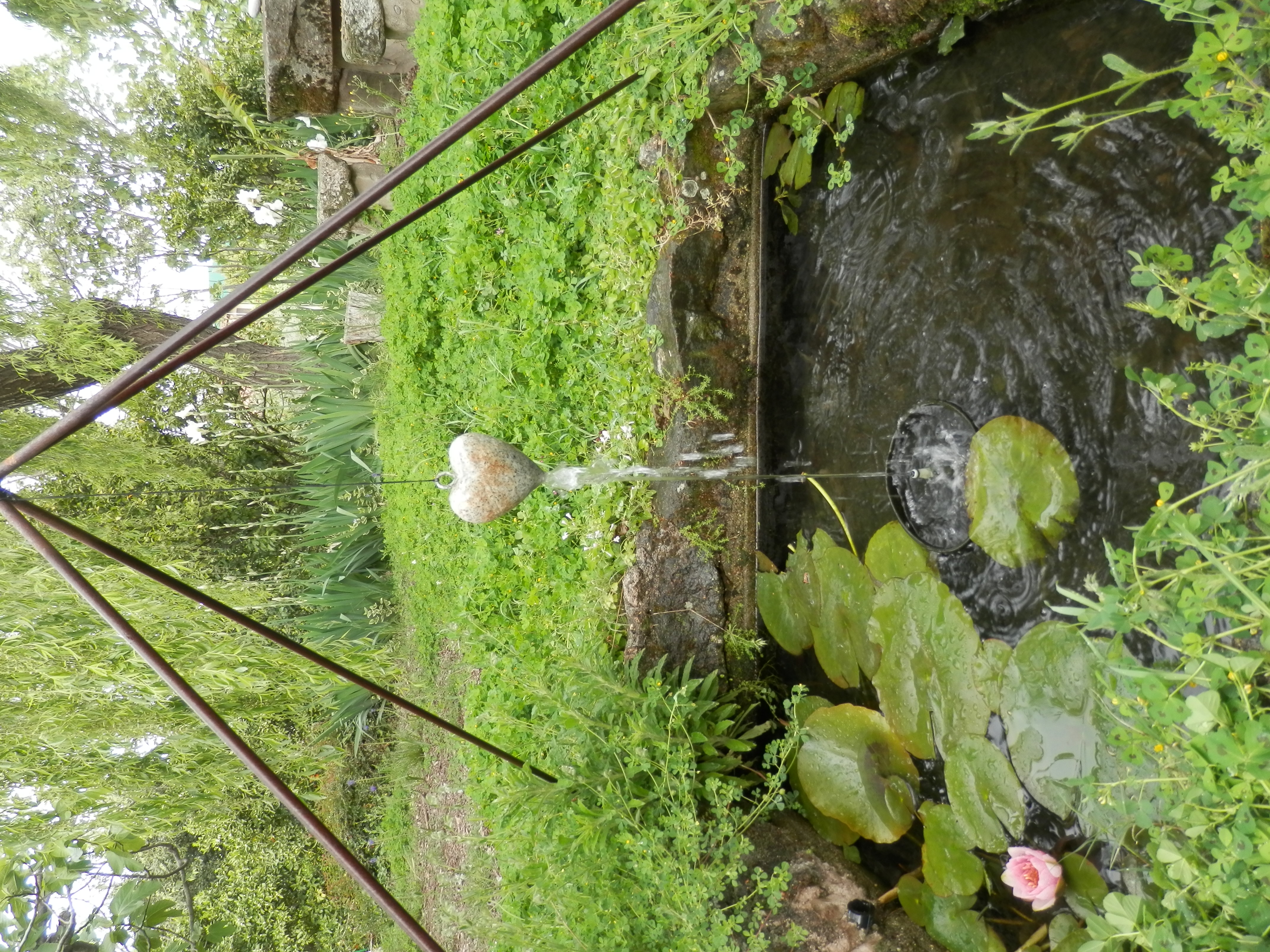 P5020198.JPG