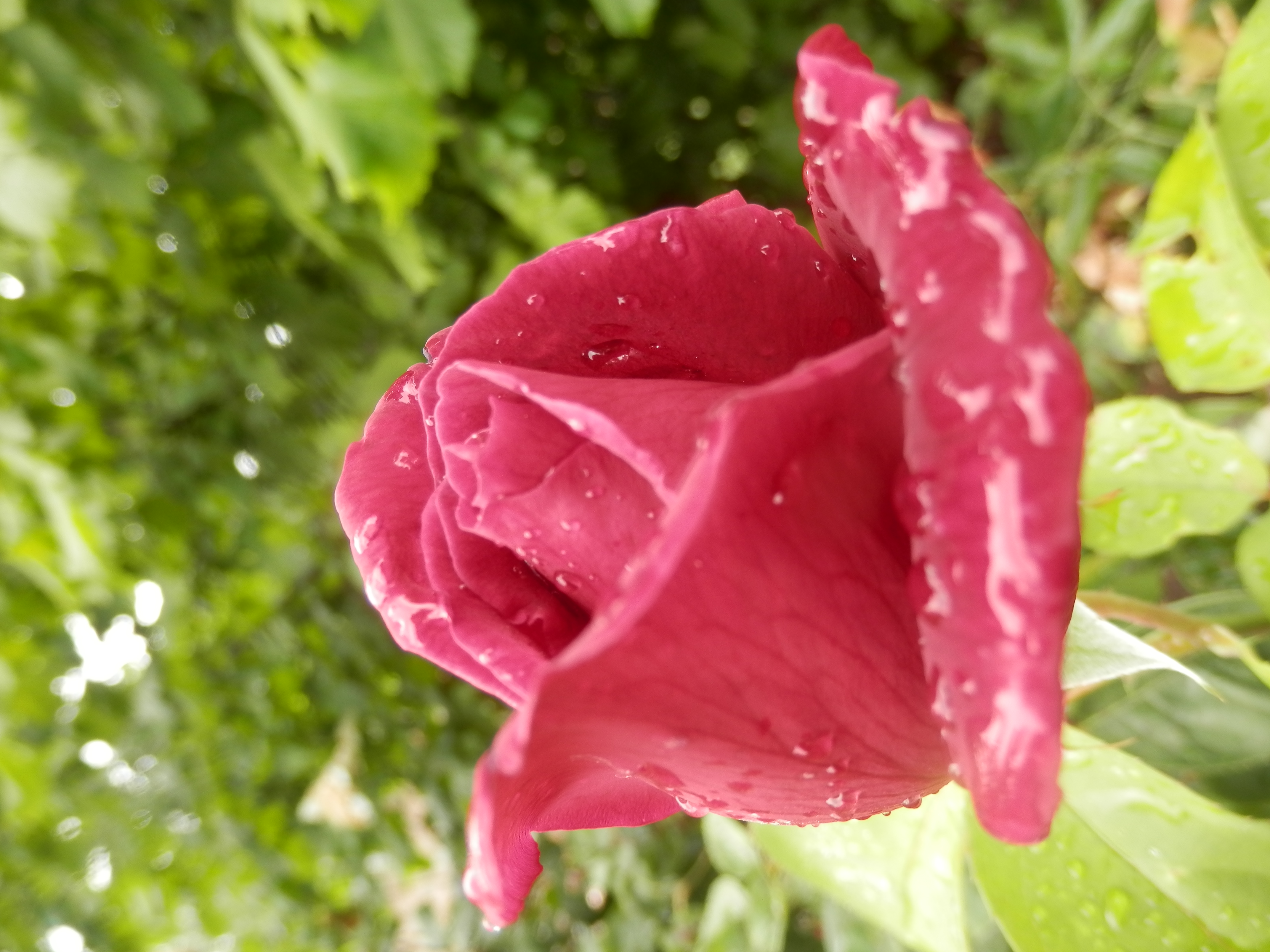 P6100050.JPG