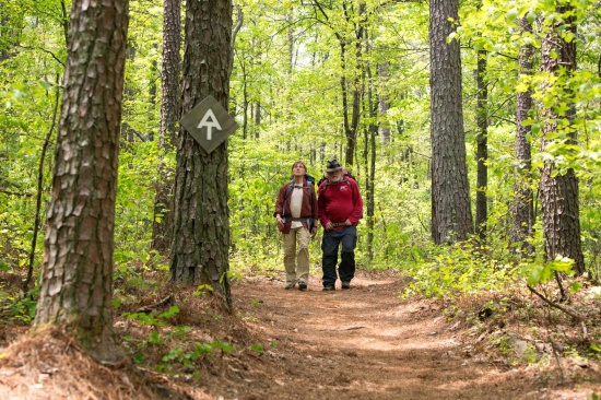PASEO POR EL BOSQUE.jpg