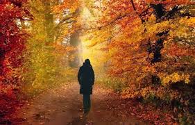 pasos de otoño.jpg