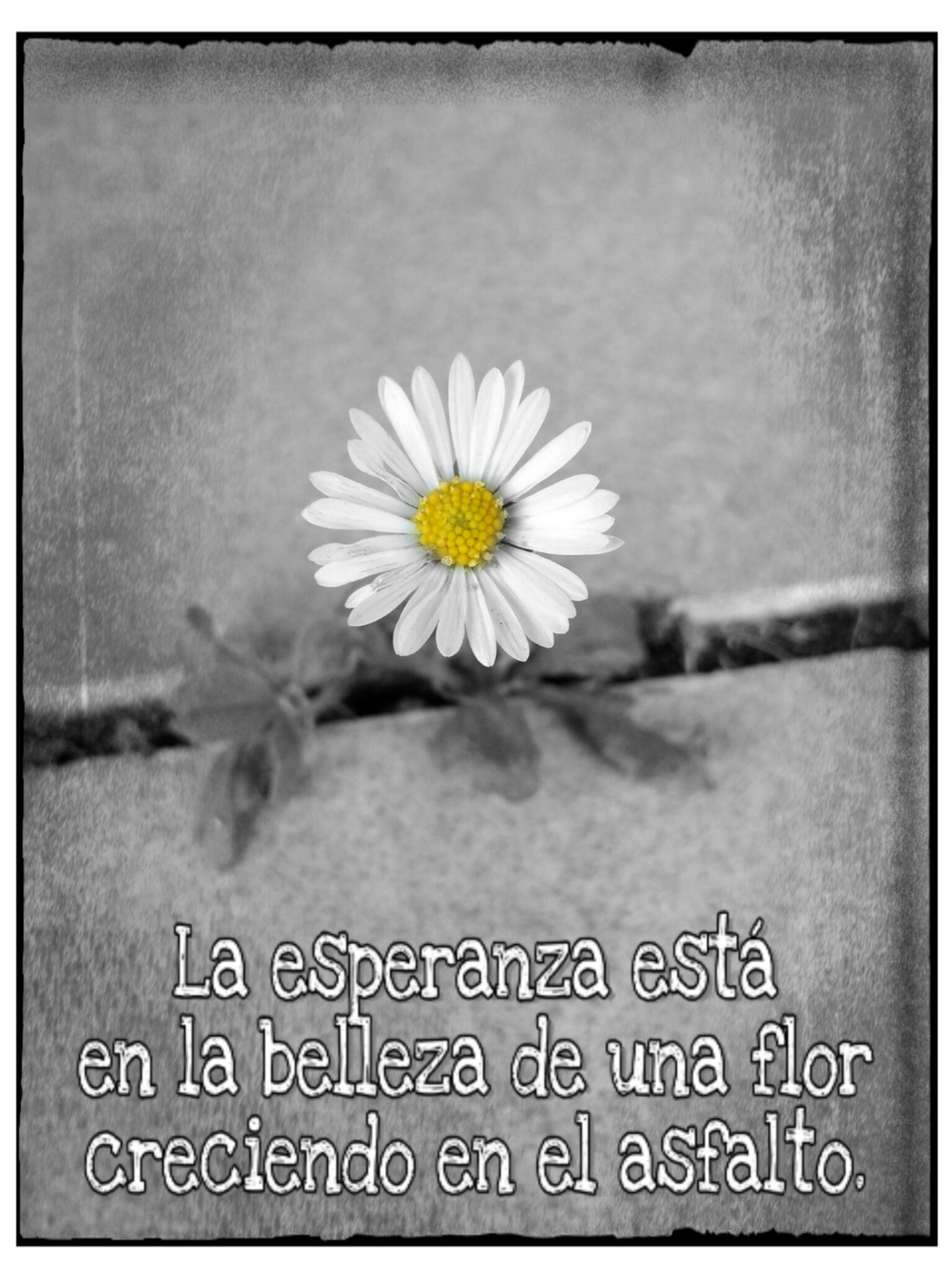 PicsArt_11-13-09.27.29.jpg
