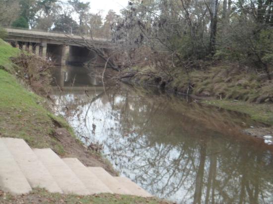 puente.jpg