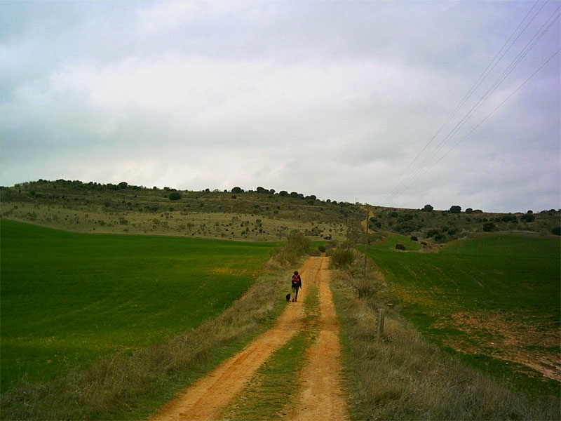 Qué largo es el camino.jpg