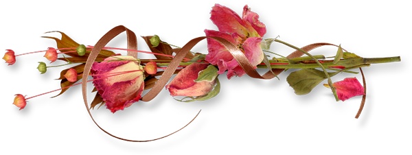 rosadas29.png