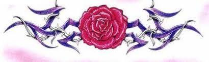rosas.jpeg