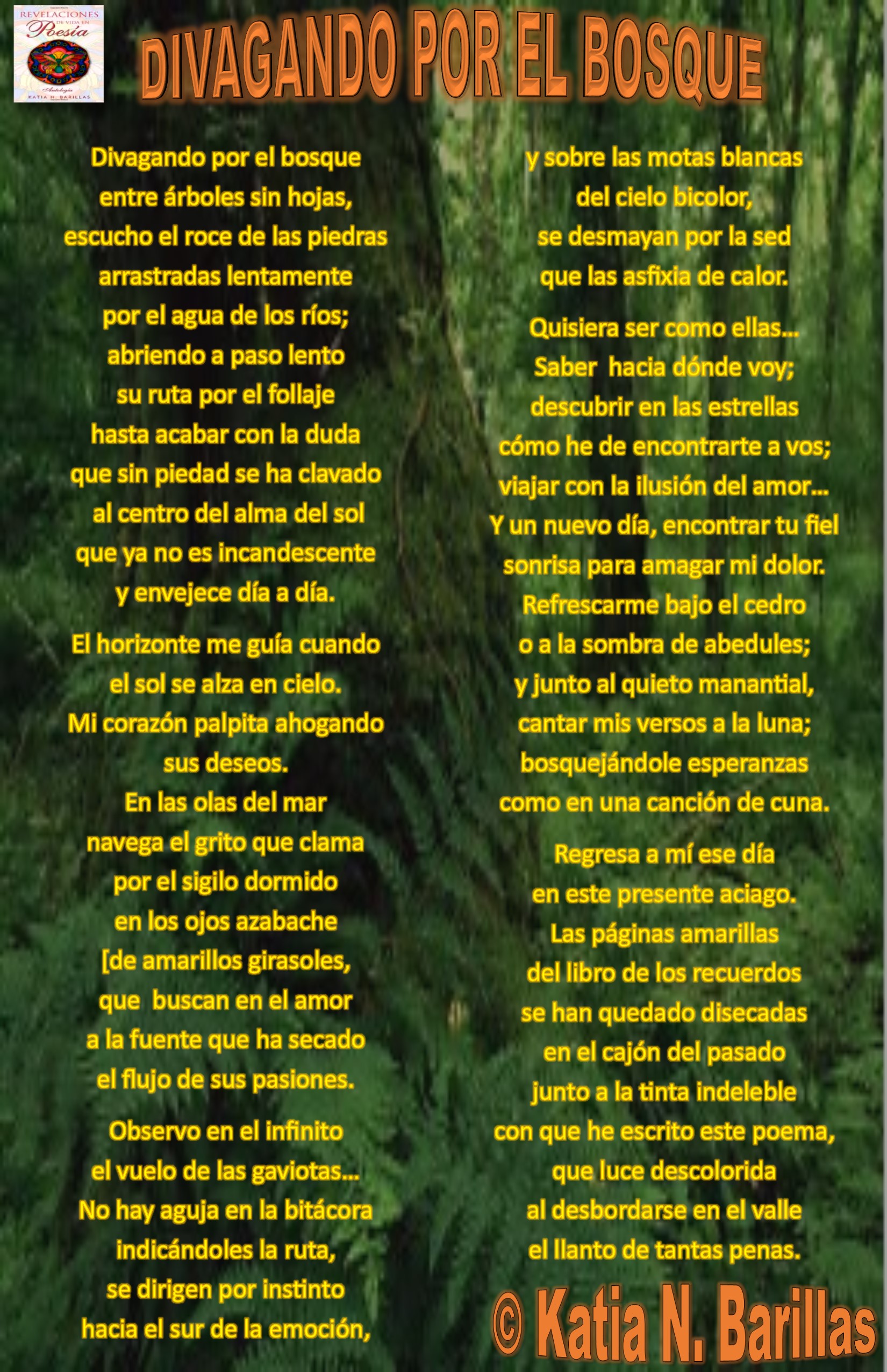 rvpDIVAGANDOPORELBOSQUEkb.jpg