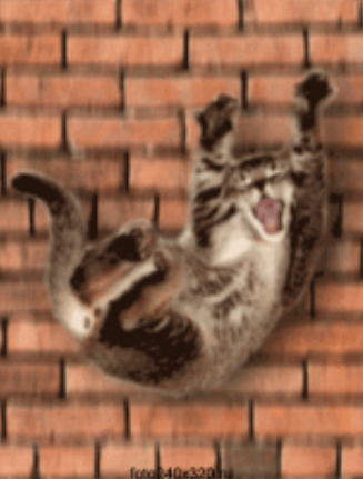 Screenshot_20220107-155252~2.png
