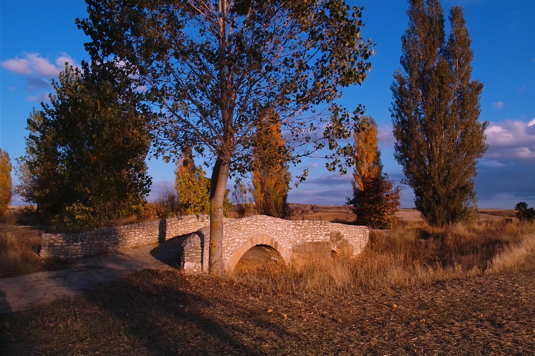 SDIM0088.jpg