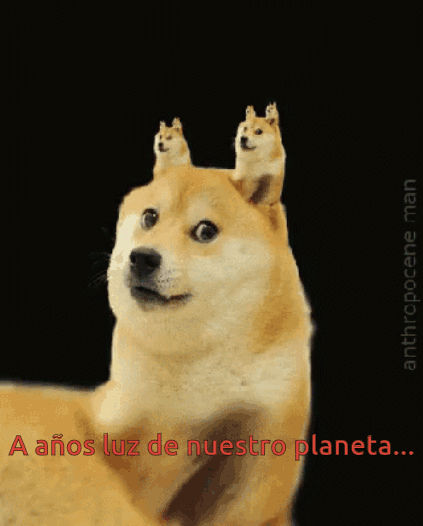 Shawy.gif