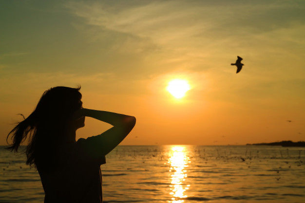 silueta-mujer-joven-mirando-sol-que-levanta-cielo-oro-ave-voladora_76000-166.jpg
