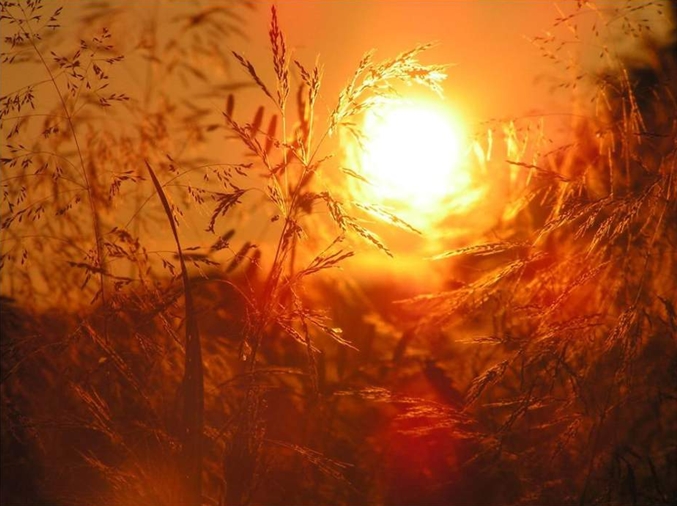 sol00.jpg