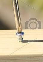 tornillo, madera-2.jpg