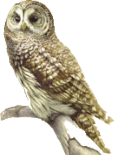 upload_2014-11-2_19-54-54.png