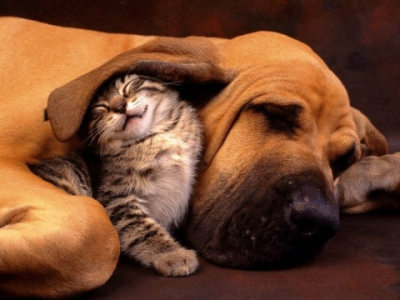 upload_2014-11-2_20-19-58.png