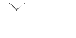 upload_2014-11-2_20-41-50.png