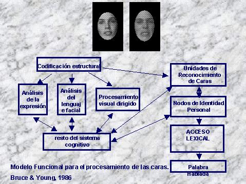 upload_2015-3-30_15-20-31.png