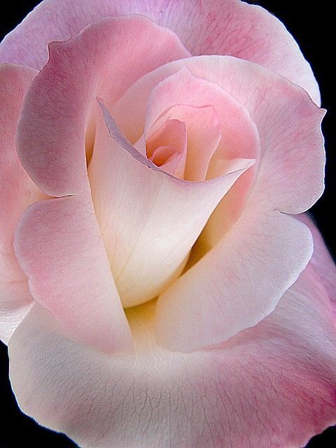 upload_2016-10-28_21-41-31.png