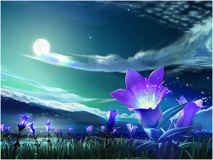 upload_2017-11-20_17-51-33.png