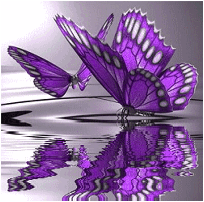 upload_2017-12-13_15-57-26.png