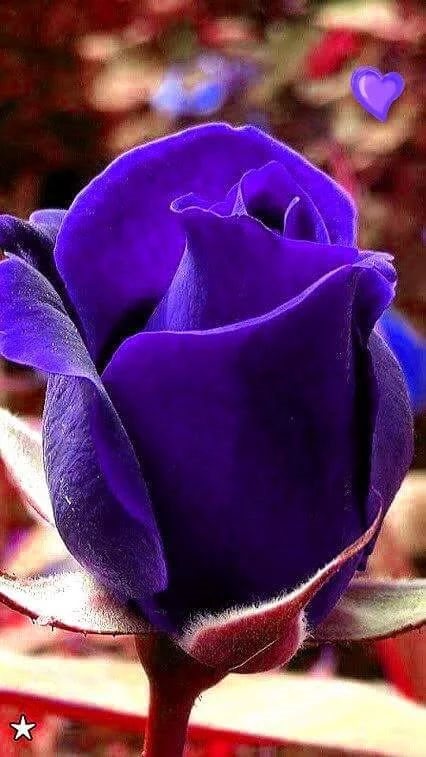 upload_2017-2-7_14-15-2.png