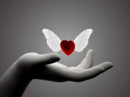 upload_2017-7-15_3-14-15.jpeg