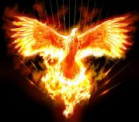 upload_2017-8-5_19-10-27.jpeg