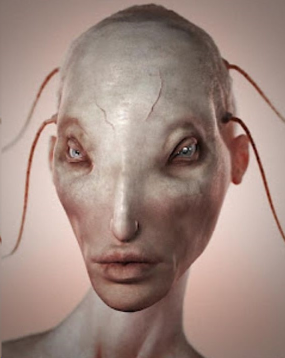 upload_2019-3-4_13-42-52.png