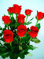 upload_2020-8-3_9-13-12.jpeg