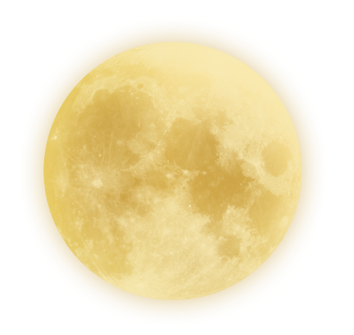 upload_2021-8-29_7-28-48.png