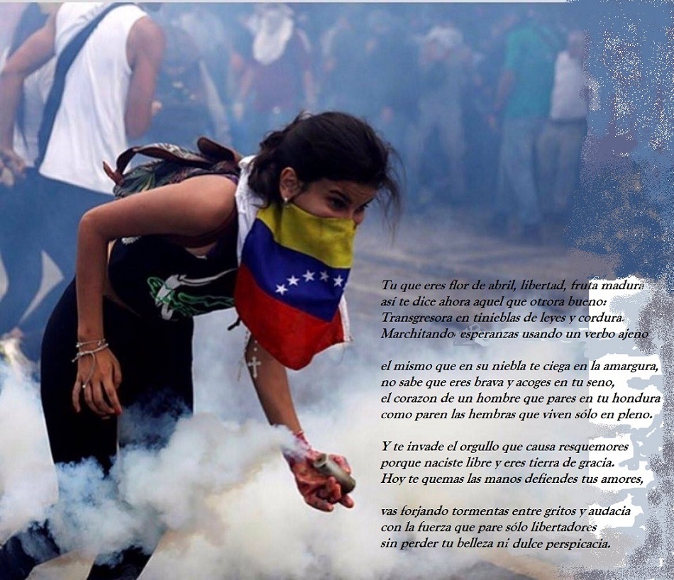 Venezuela es una flor.jpg