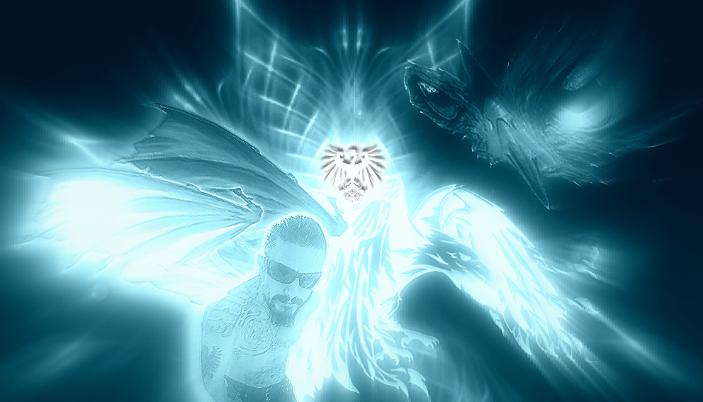 white hawk.jpg