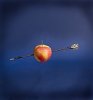 Manzana-flecha.jpg