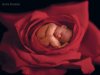 ROSA CON BEBE..jpg
