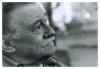 benedetti1ds..jpg