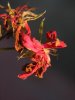 Flor_1_2_by_DiGlEsIaS.jpg