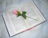 Florlibro3.jpg