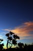 DSC_0024.jpg